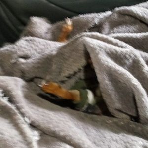 Meet your Posher, Sandy